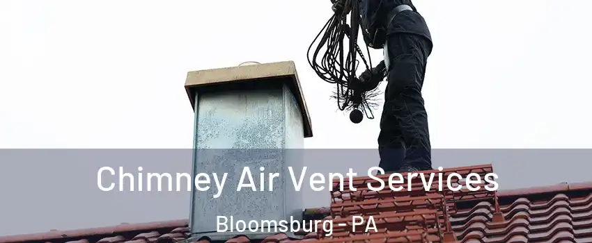  Chimney Air Vent Services Bloomsburg - PA