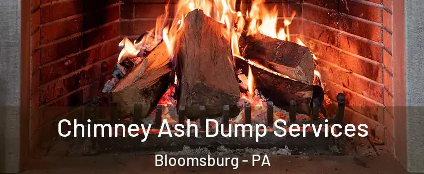  Chimney Ash Dump Services Bloomsburg - PA