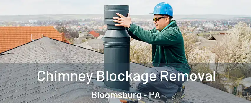  Chimney Blockage Removal Bloomsburg - PA