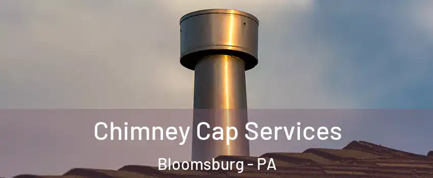  Chimney Cap Services Bloomsburg - PA