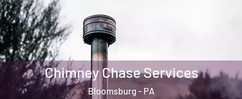  Chimney Chase Services Bloomsburg - PA