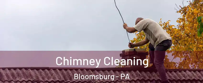  Chimney Cleaning Bloomsburg - PA