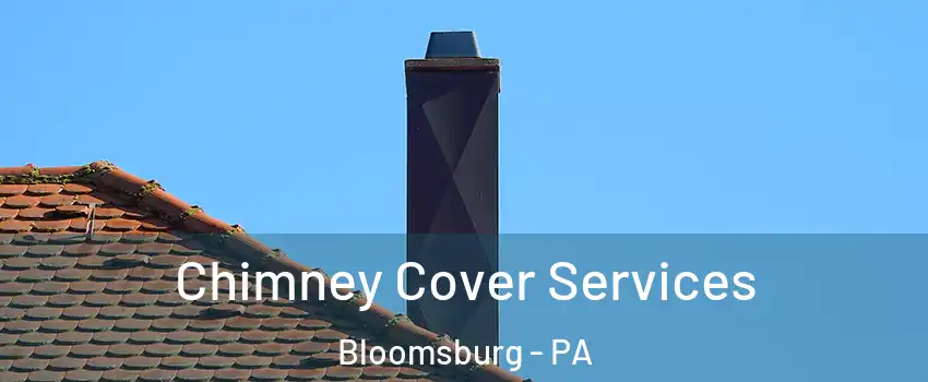  Chimney Cover Services Bloomsburg - PA