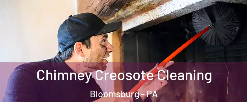 Chimney Creosote Cleaning Bloomsburg - PA