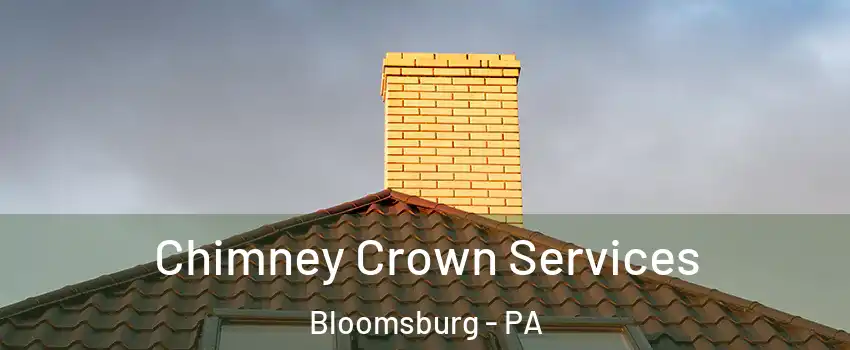  Chimney Crown Services Bloomsburg - PA