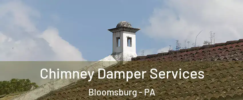  Chimney Damper Services Bloomsburg - PA