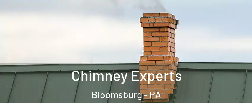 Chimney Experts Bloomsburg - PA