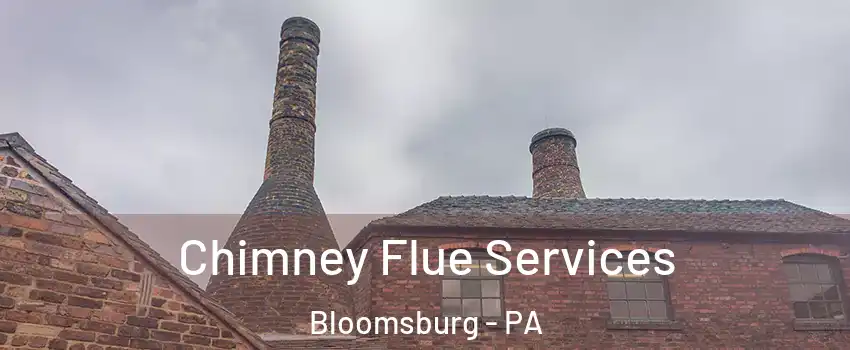  Chimney Flue Services Bloomsburg - PA