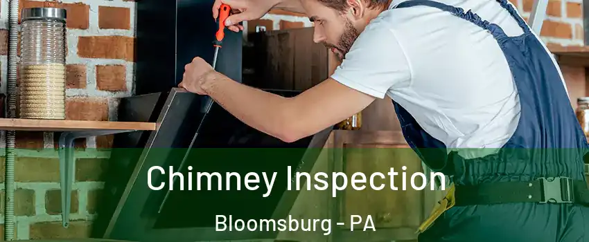  Chimney Inspection Bloomsburg - PA