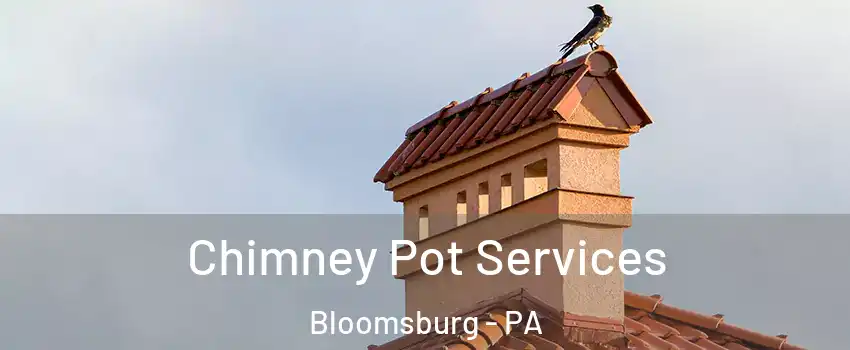  Chimney Pot Services Bloomsburg - PA