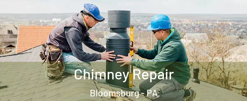  Chimney Repair Bloomsburg - PA