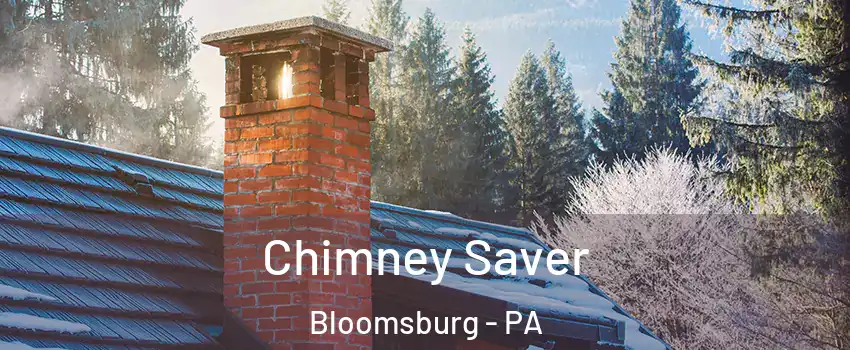  Chimney Saver Bloomsburg - PA