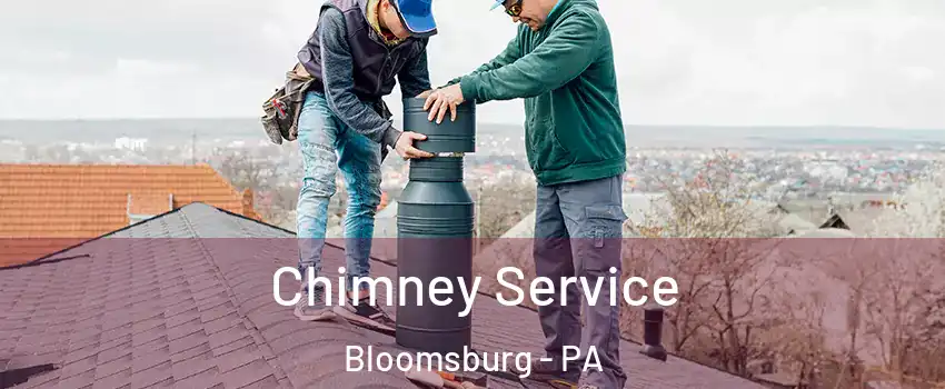  Chimney Service Bloomsburg - PA