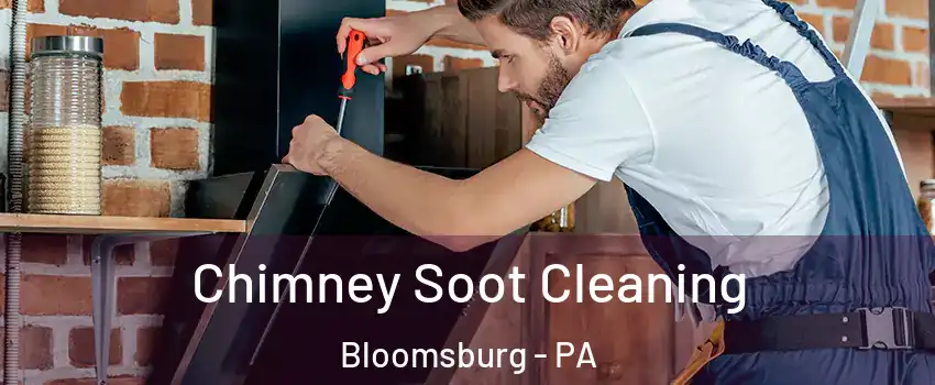  Chimney Soot Cleaning Bloomsburg - PA