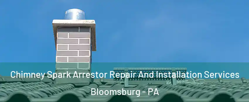  Chimney Spark Arrestor Repair And Installation Services Bloomsburg - PA