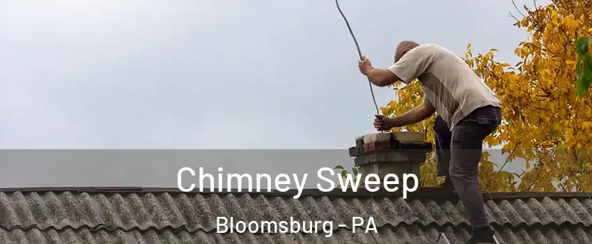 Chimney Sweep Bloomsburg - PA