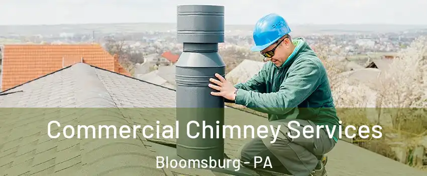 Commercial Chimney Services Bloomsburg - PA
