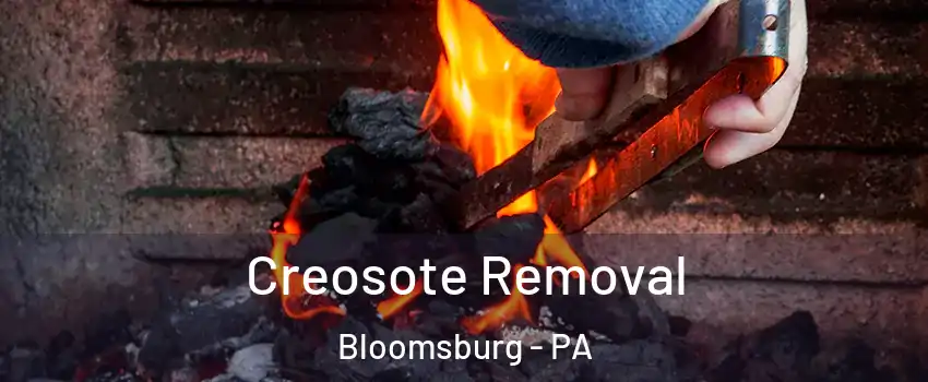  Creosote Removal Bloomsburg - PA