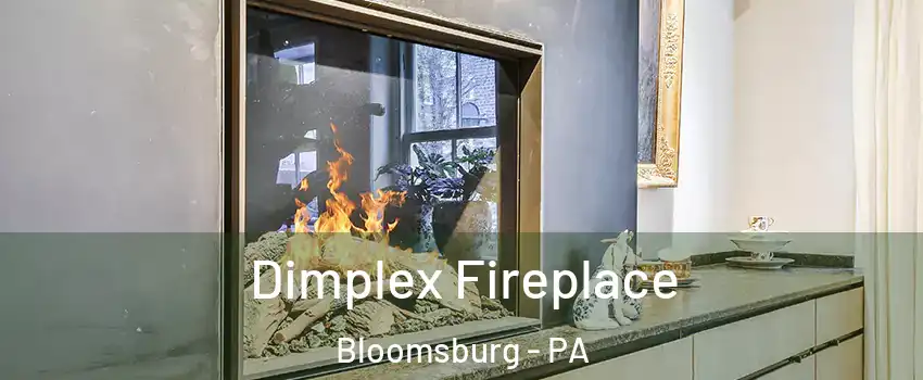  Dimplex Fireplace Bloomsburg - PA