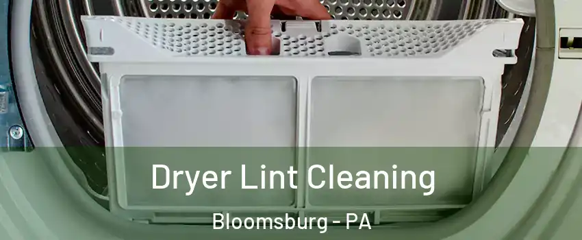  Dryer Lint Cleaning Bloomsburg - PA