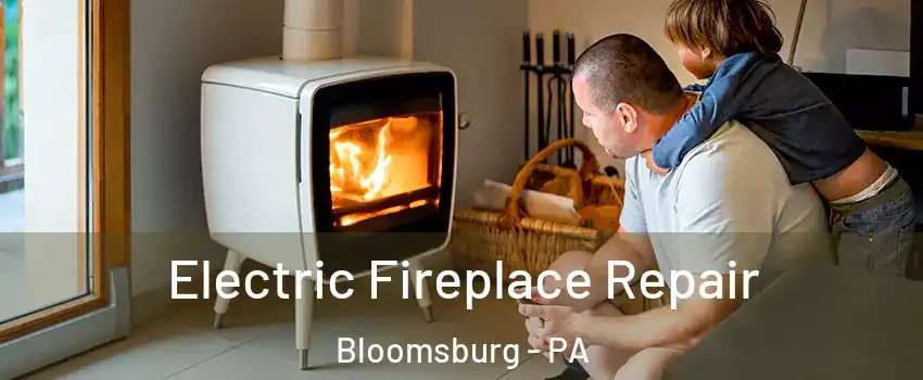  Electric Fireplace Repair Bloomsburg - PA