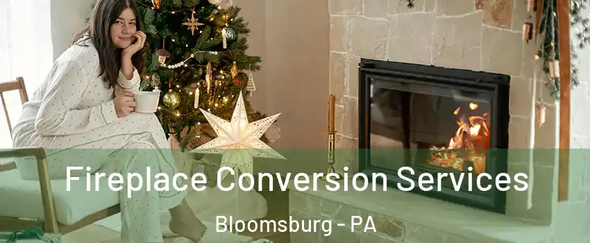  Fireplace Conversion Services Bloomsburg - PA