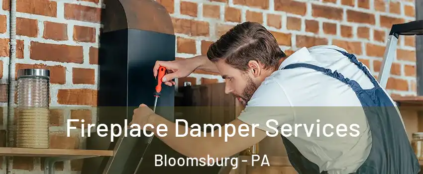  Fireplace Damper Services Bloomsburg - PA