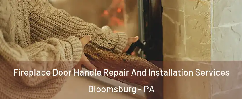  Fireplace Door Handle Repair And Installation Services Bloomsburg - PA