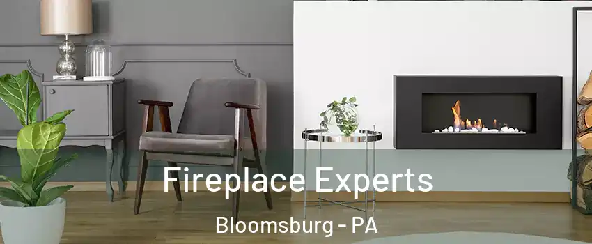  Fireplace Experts Bloomsburg - PA