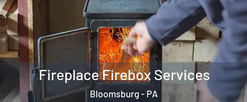  Fireplace Firebox Services Bloomsburg - PA