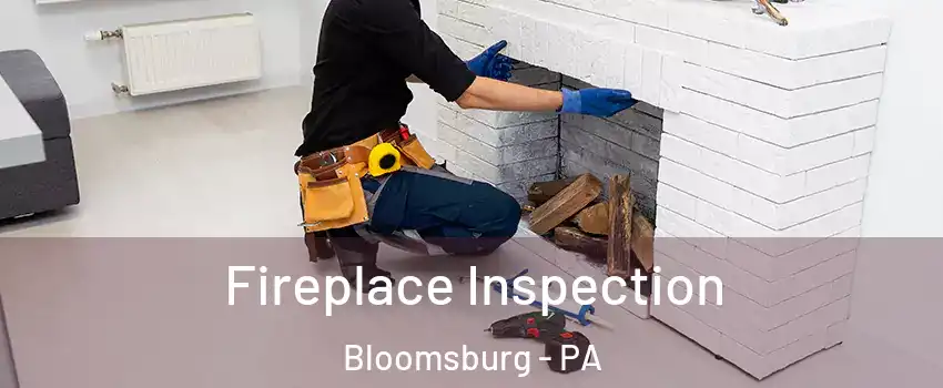  Fireplace Inspection Bloomsburg - PA