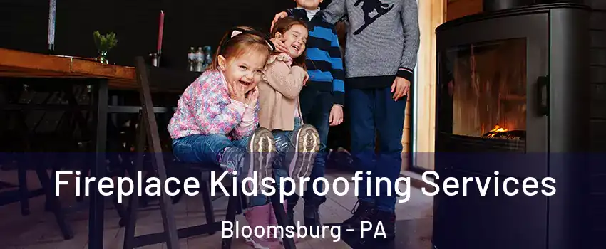 Fireplace Kidsproofing Services Bloomsburg - PA