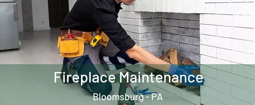  Fireplace Maintenance Bloomsburg - PA