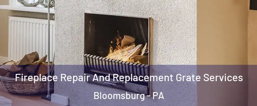  Fireplace Repair And Replacement Grate Services Bloomsburg - PA