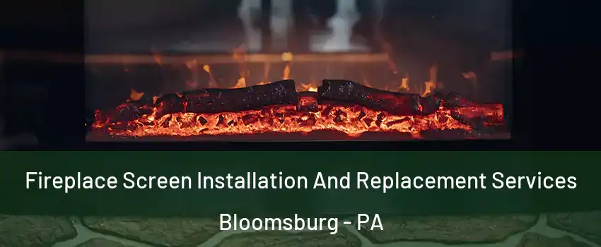  Fireplace Screen Installation And Replacement Services Bloomsburg - PA