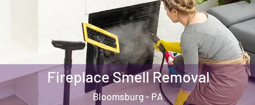  Fireplace Smell Removal Bloomsburg - PA