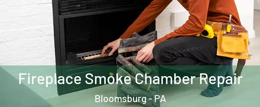  Fireplace Smoke Chamber Repair Bloomsburg - PA