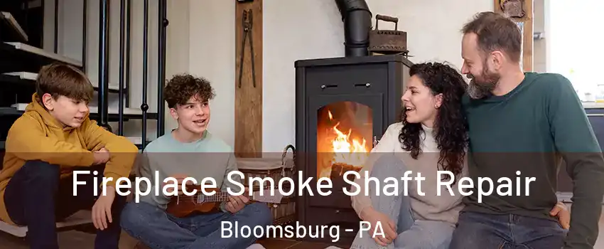  Fireplace Smoke Shaft Repair Bloomsburg - PA