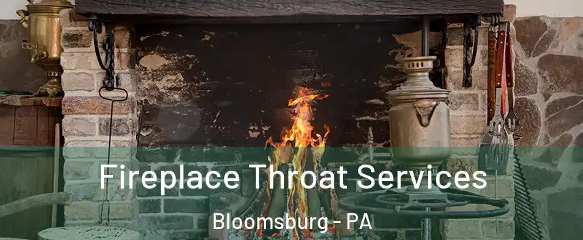  Fireplace Throat Services Bloomsburg - PA