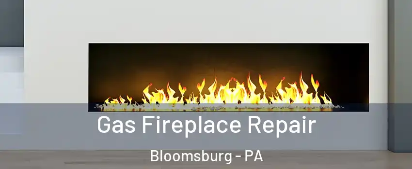  Gas Fireplace Repair Bloomsburg - PA