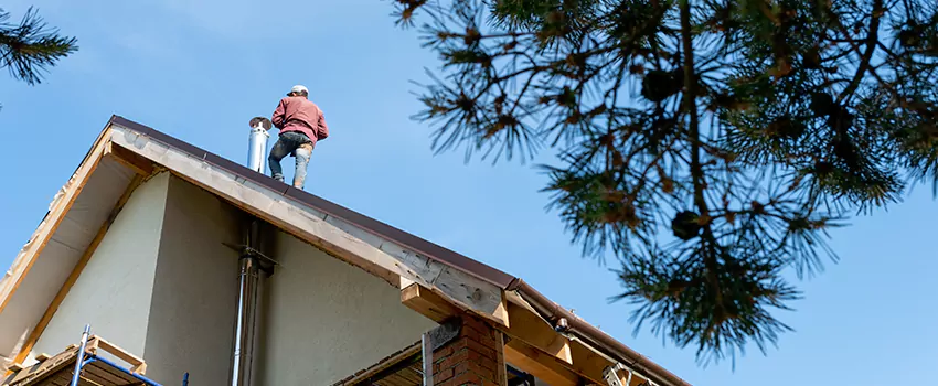 Birds Removal Contractors from Chimney in Bloomsburg, PA