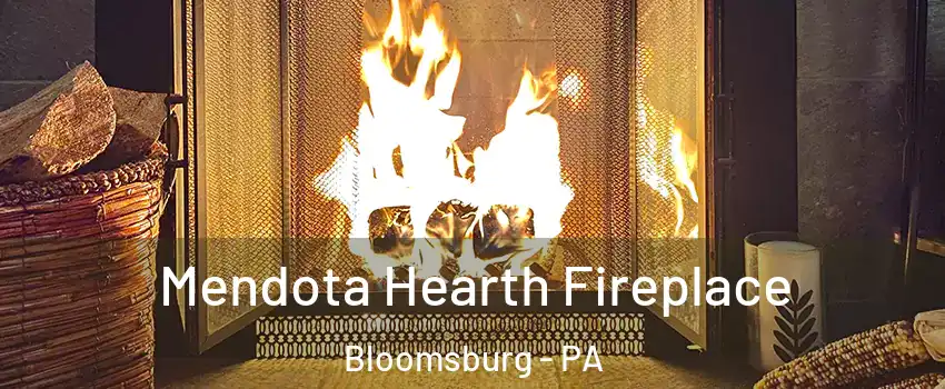  Mendota Hearth Fireplace Bloomsburg - PA