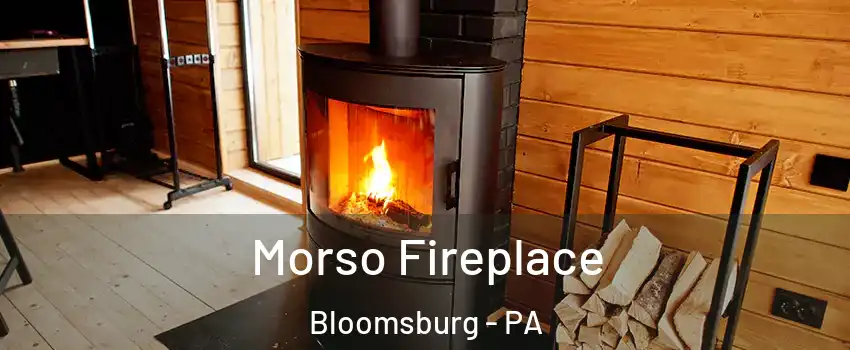  Morso Fireplace Bloomsburg - PA