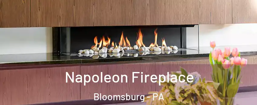  Napoleon Fireplace Bloomsburg - PA