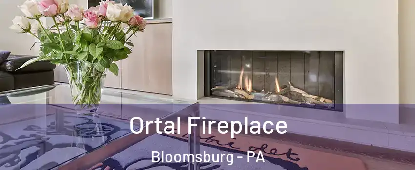  Ortal Fireplace Bloomsburg - PA