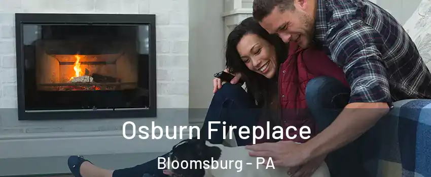  Osburn Fireplace Bloomsburg - PA