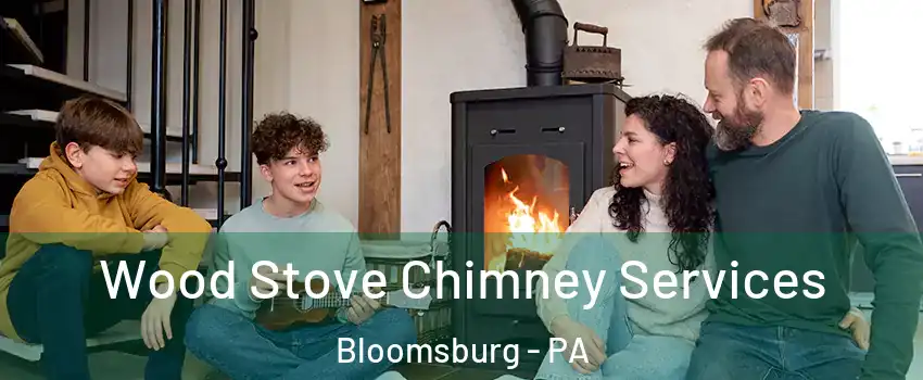  Wood Stove Chimney Services Bloomsburg - PA